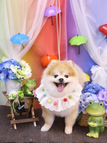 20230603モコくん